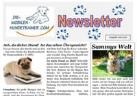 Newsletter-November-2012