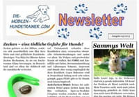 Newsletter-Mai-2013