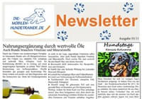 Newsletter-Januar-2011